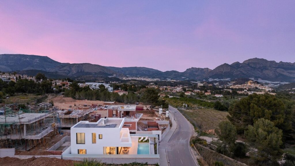 RYNEK PIERWOTNY WILLE W POLOPIE