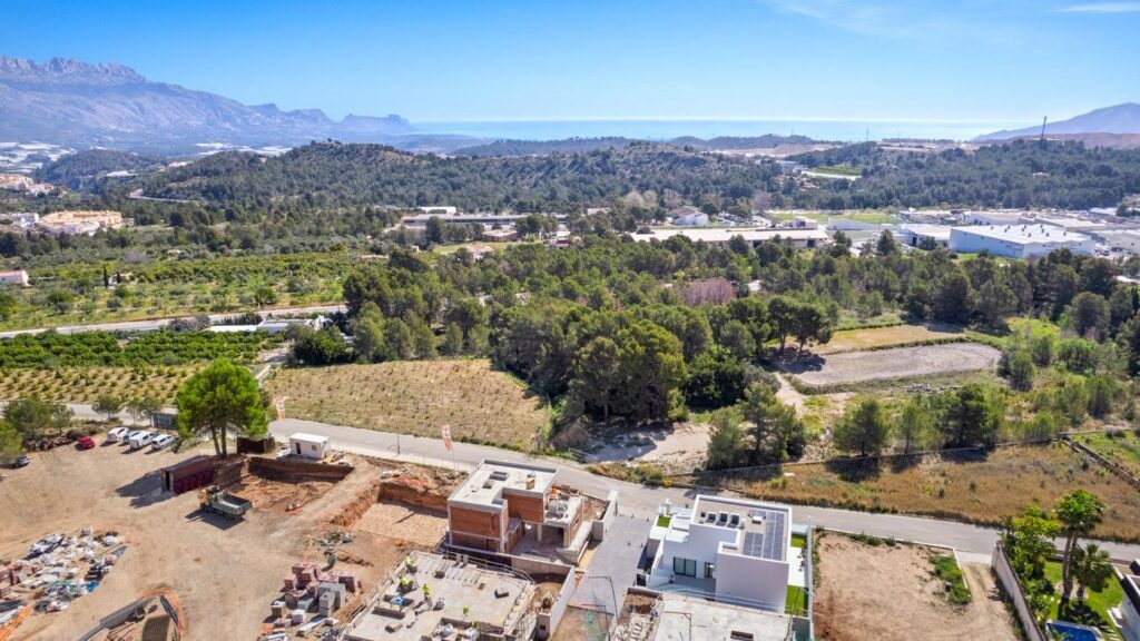 RYNEK PIERWOTNY WILLE W POLOPIE