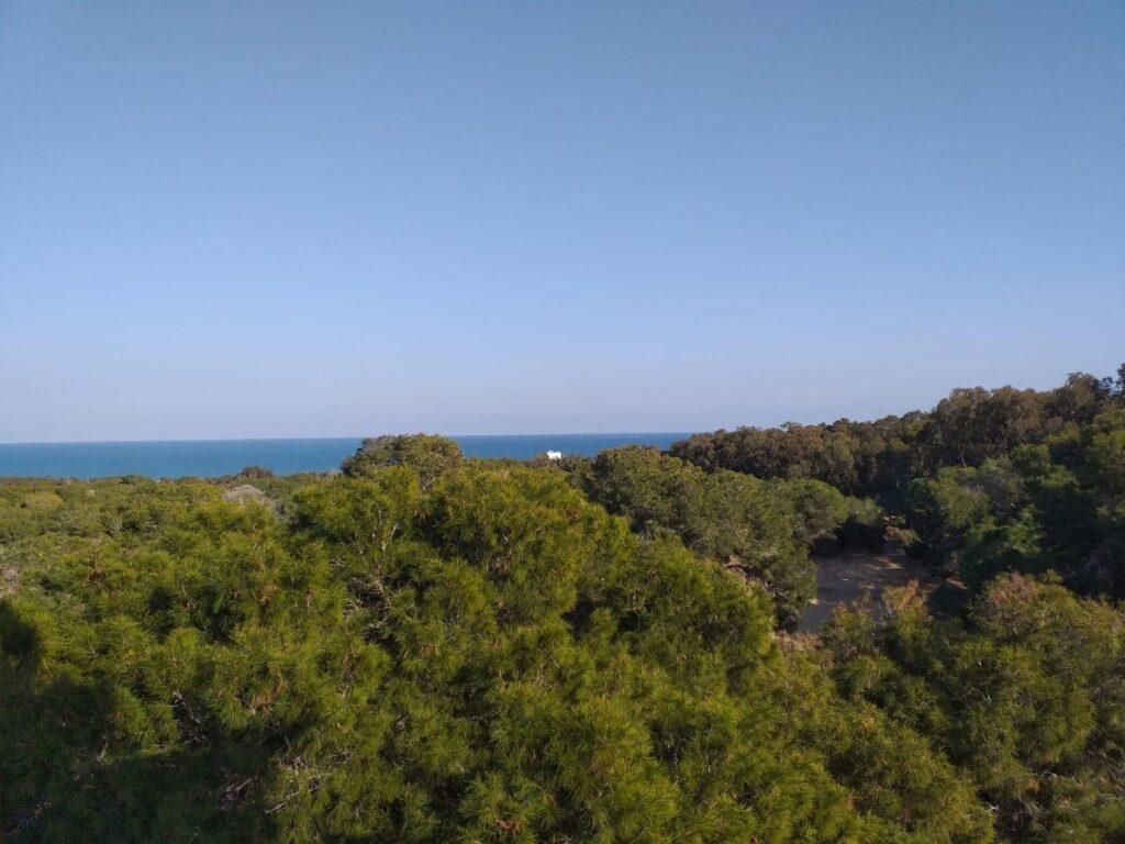 Nowoczesne apartamenty w centrum Guardamar del Segura