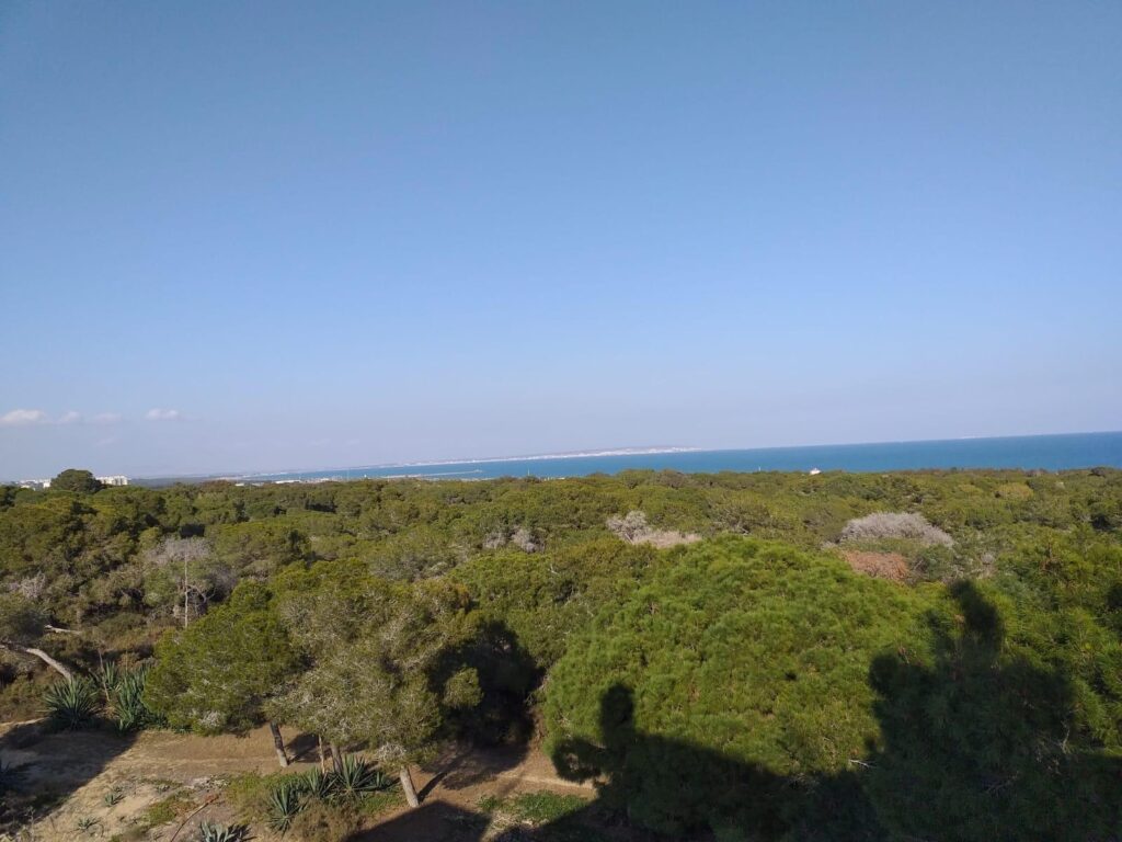 Nowoczesne apartamenty w centrum Guardamar del Segura
