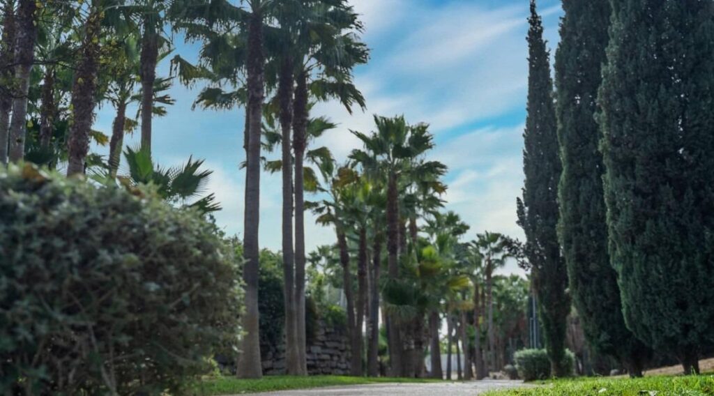 Ekskluzywne, ekologiczne rezydencje w El Higuerón na Costa del Sol