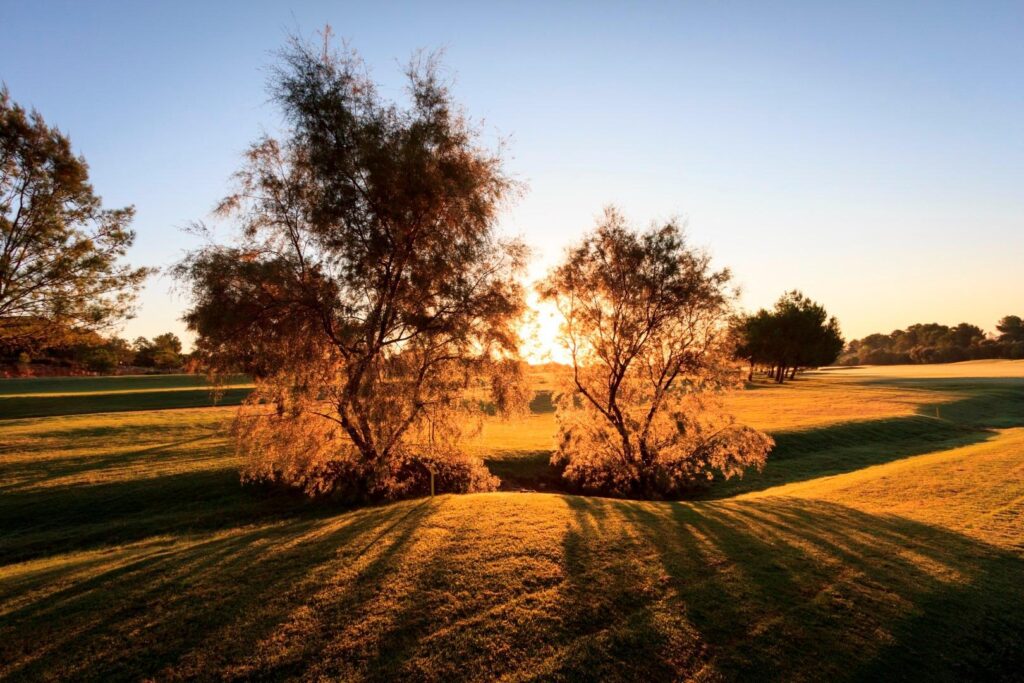 Nowe wille budowlane na linii frontu Lo Romero Golf