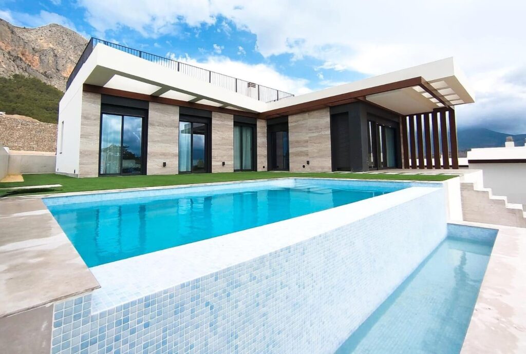 RYNEK PIERWOTNY WILLE W POLOP